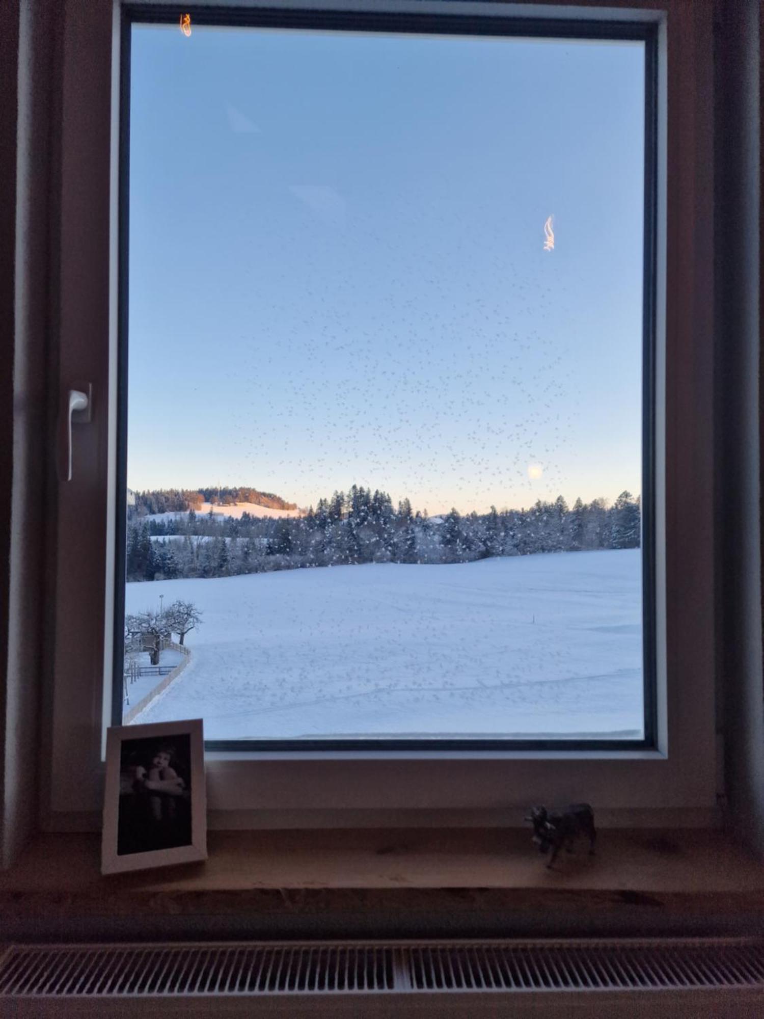 Der Perfekte Ausgangspunkt Apartment *