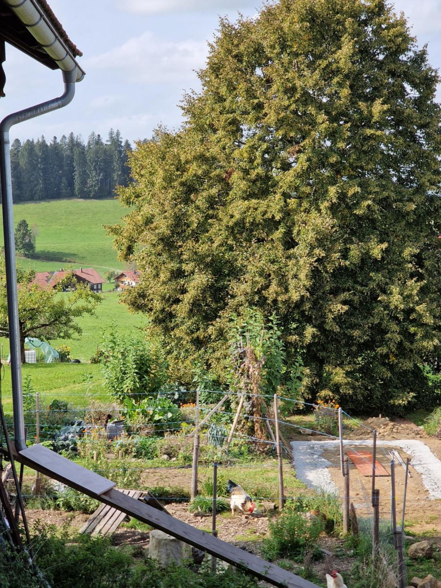 Apartment Der Perfekte Ausgangspunkt Weiler-Simmerberg